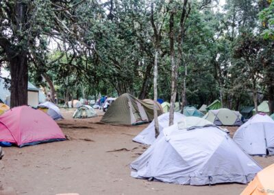 Kilimanjaro, Mti Mkubwa Camp for Northern Circuit Route