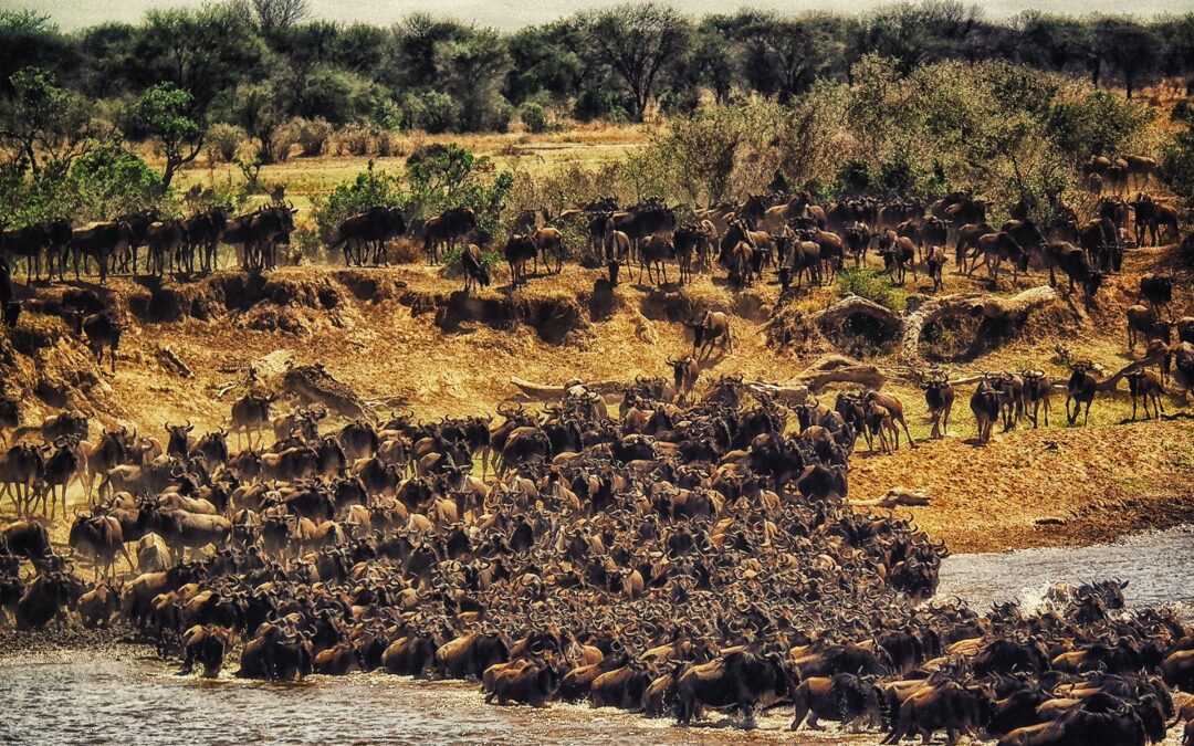 Serengeti National Park