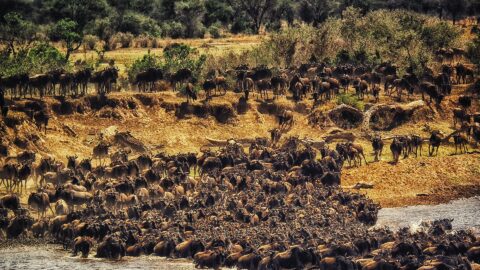 Serengeti National Park