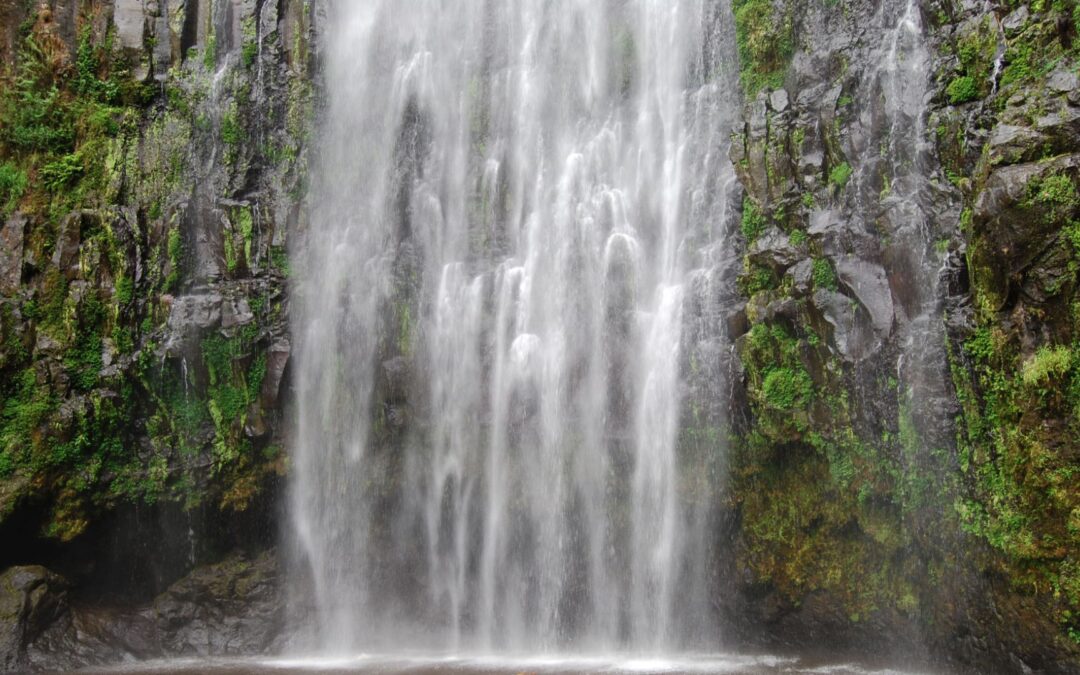 Materuni Waterfall Day Trip