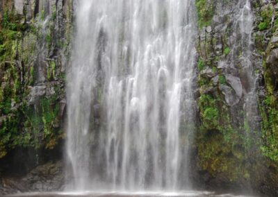 Materuni Waterfalls Day Trip