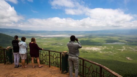 Ngorongoro Crater Day Trip