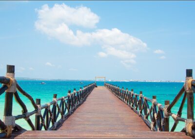 Prizon Island in Zanzibar