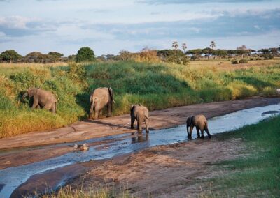 Tarangire Rivers