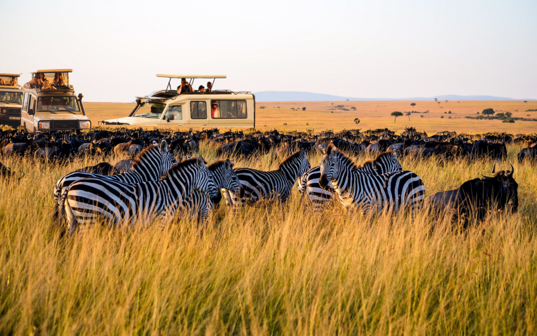 6-Day Tanzania Luxury Safari