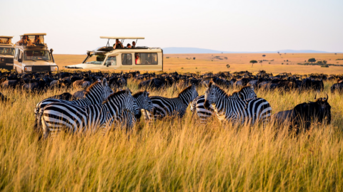 6-Day Tanzania Luxury Safari